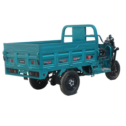 Electric Cargo Tricycle Truck 600-1000W Endurance Mileage 50-70km Freight Vehicle Short-distance Passenger Tricycle