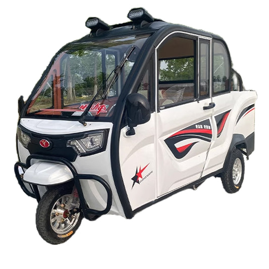20mph Speed Closed Electric Cargo Tricycle 800W Motor Truck 3 Wheels Freight Vehicle Short-distance Passenger Tricycle